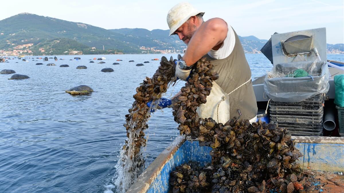 Soluciones innovadoras para combatir la acumulación de plásticos en el medio marino.jpg